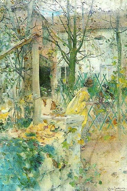 Carl Larsson moter